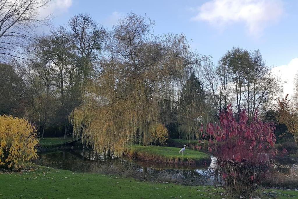 Domaine Du Bois L'Abbe Villa Épaignes Eksteriør bilde